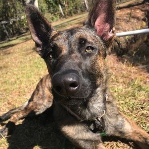 Meet your Posher, Jacob